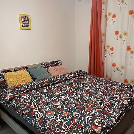 Good Vibes Apartment Кымпулунг-Молдовенеск Экстерьер фото