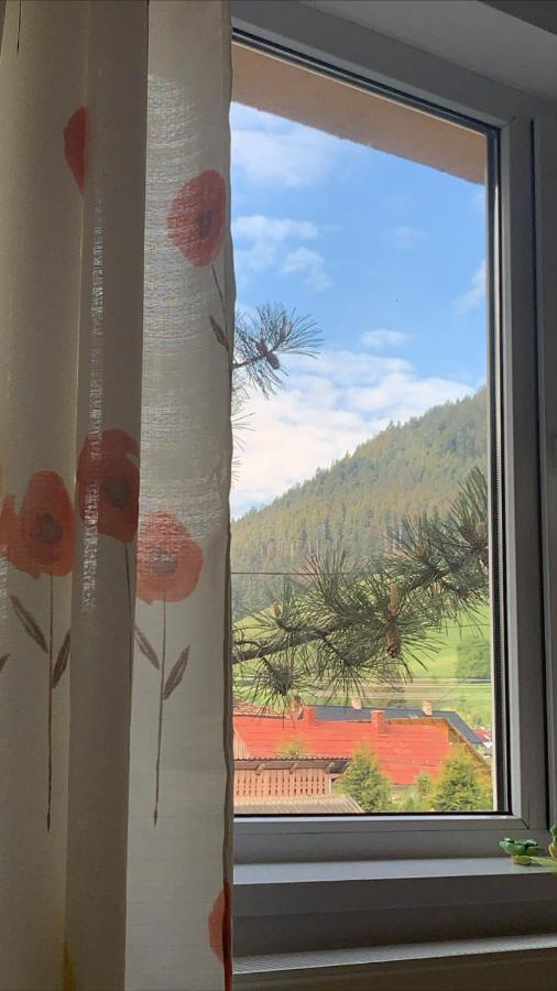 Good Vibes Apartment Кымпулунг-Молдовенеск Экстерьер фото