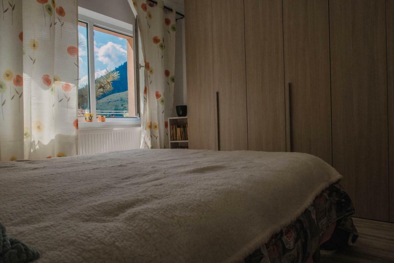 Good Vibes Apartment Кымпулунг-Молдовенеск Экстерьер фото
