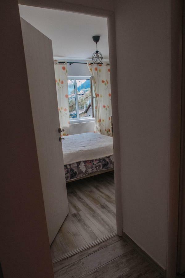 Good Vibes Apartment Кымпулунг-Молдовенеск Экстерьер фото