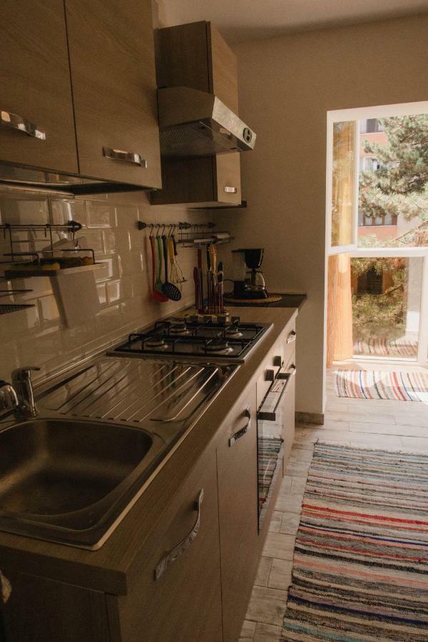 Good Vibes Apartment Кымпулунг-Молдовенеск Экстерьер фото